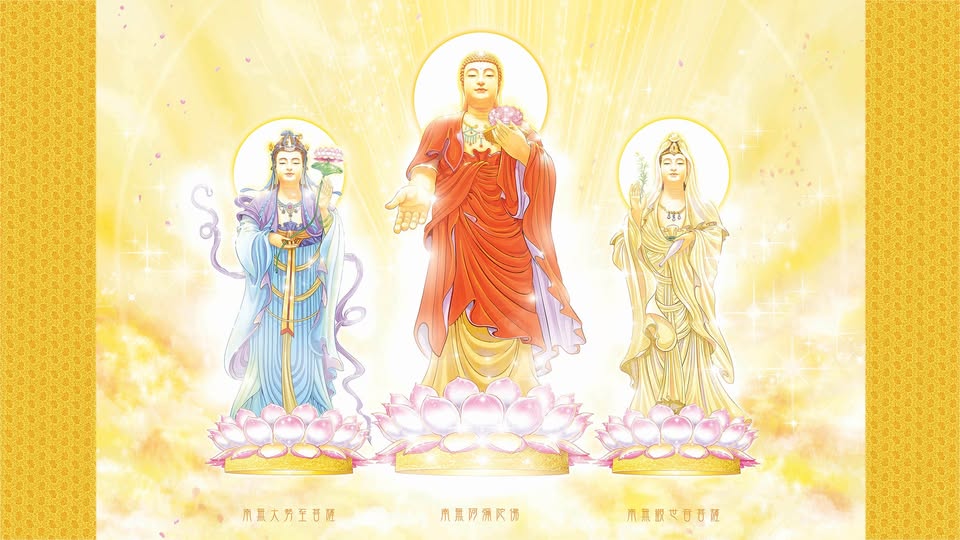 Describes the appearance of the image