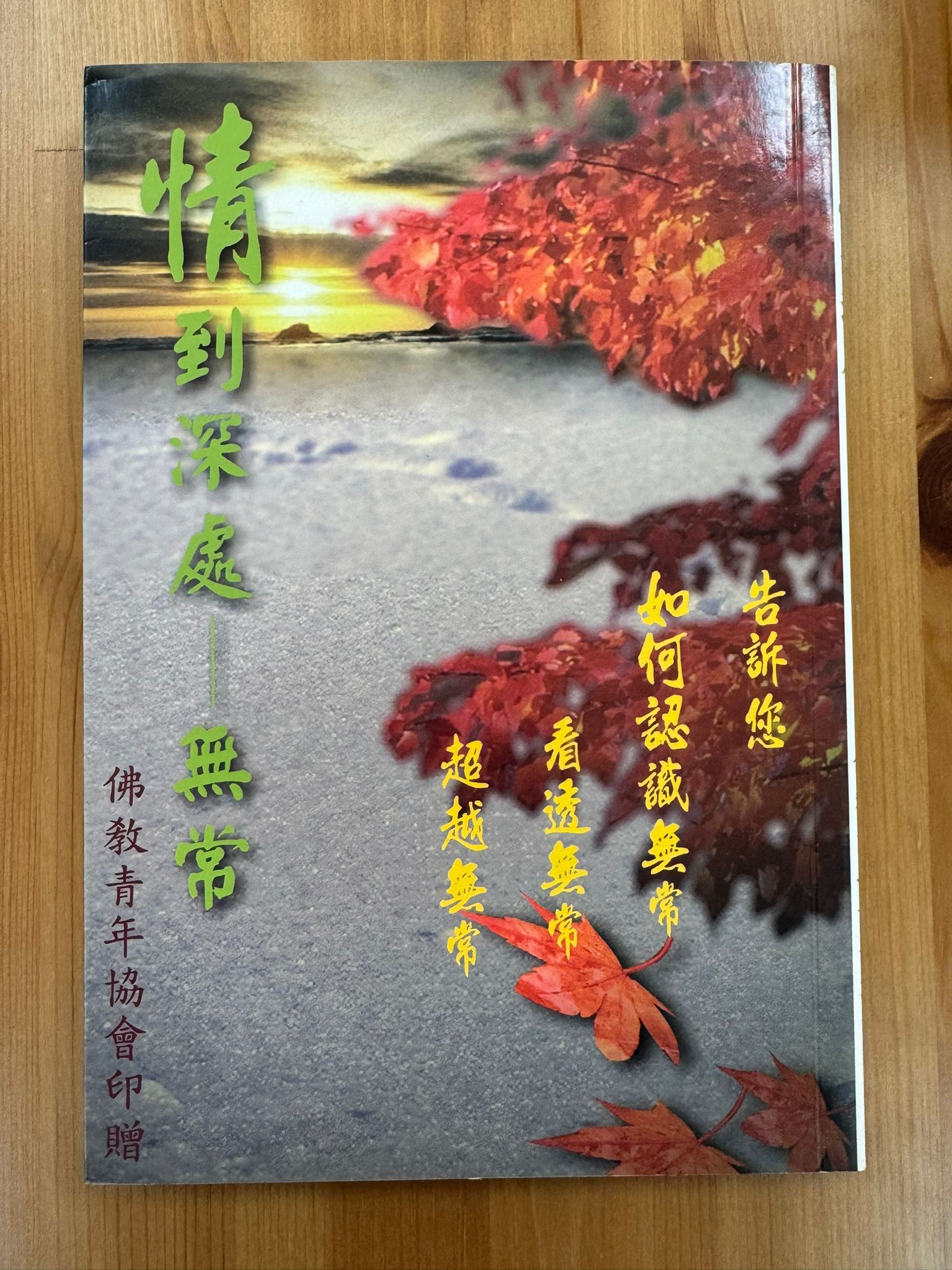 情到深處---無常（B6)