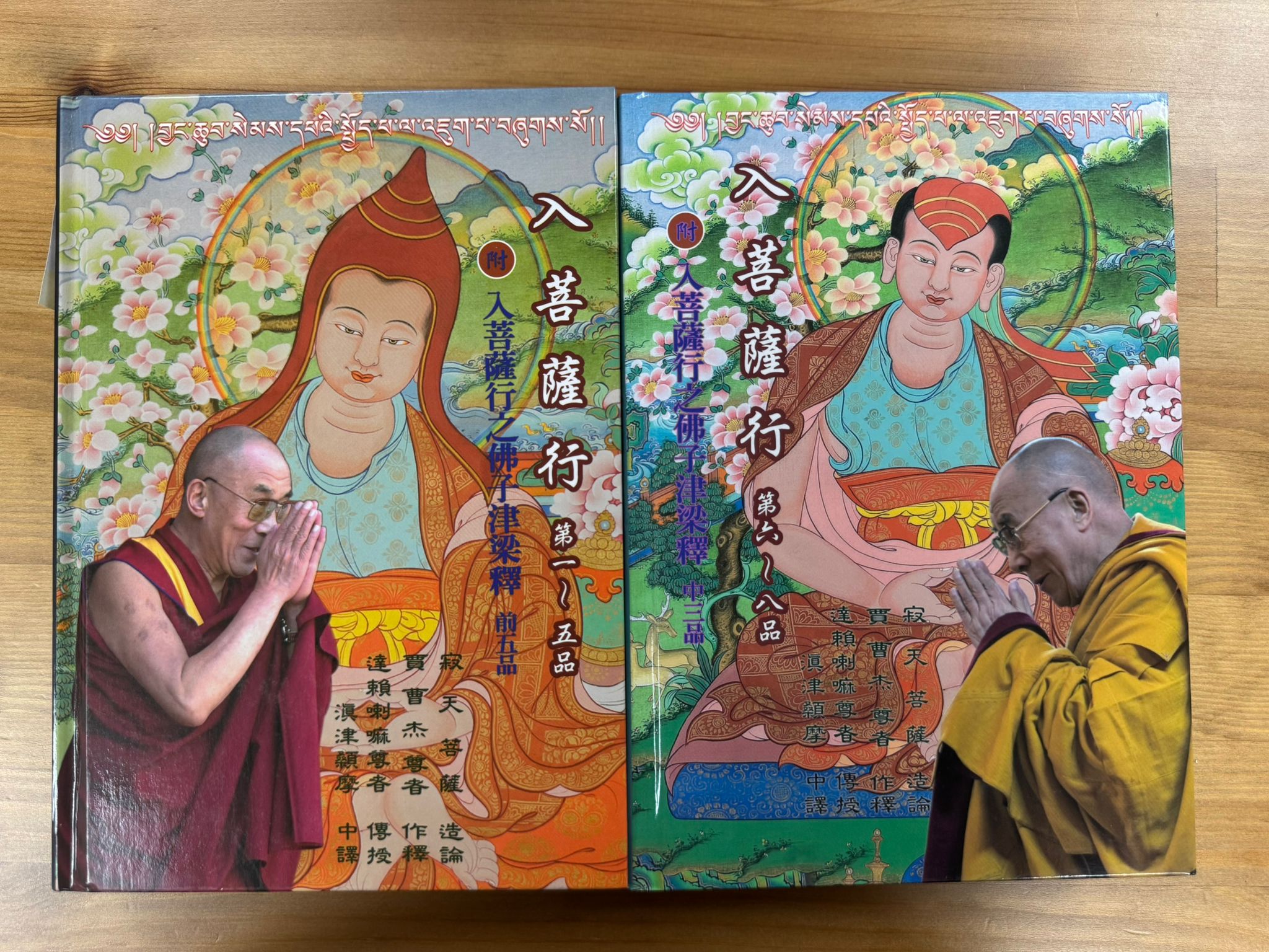 入菩薩行（第一至五品）＋（第六至八品）(C31)